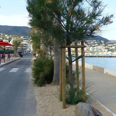Studio Cosy Avec Tv Et Cuisine Equipee, Bord De Mer Le Lavandou - Fr-1-308-34 Kültér fotó